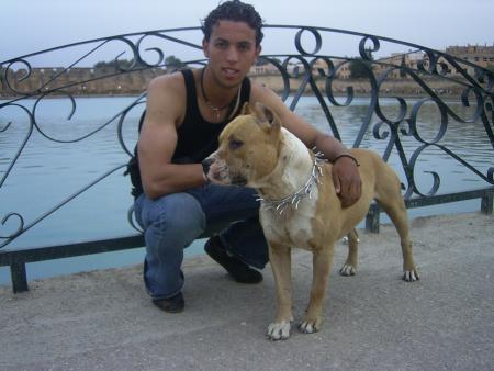taha et ritchi