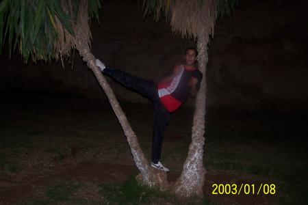 reda